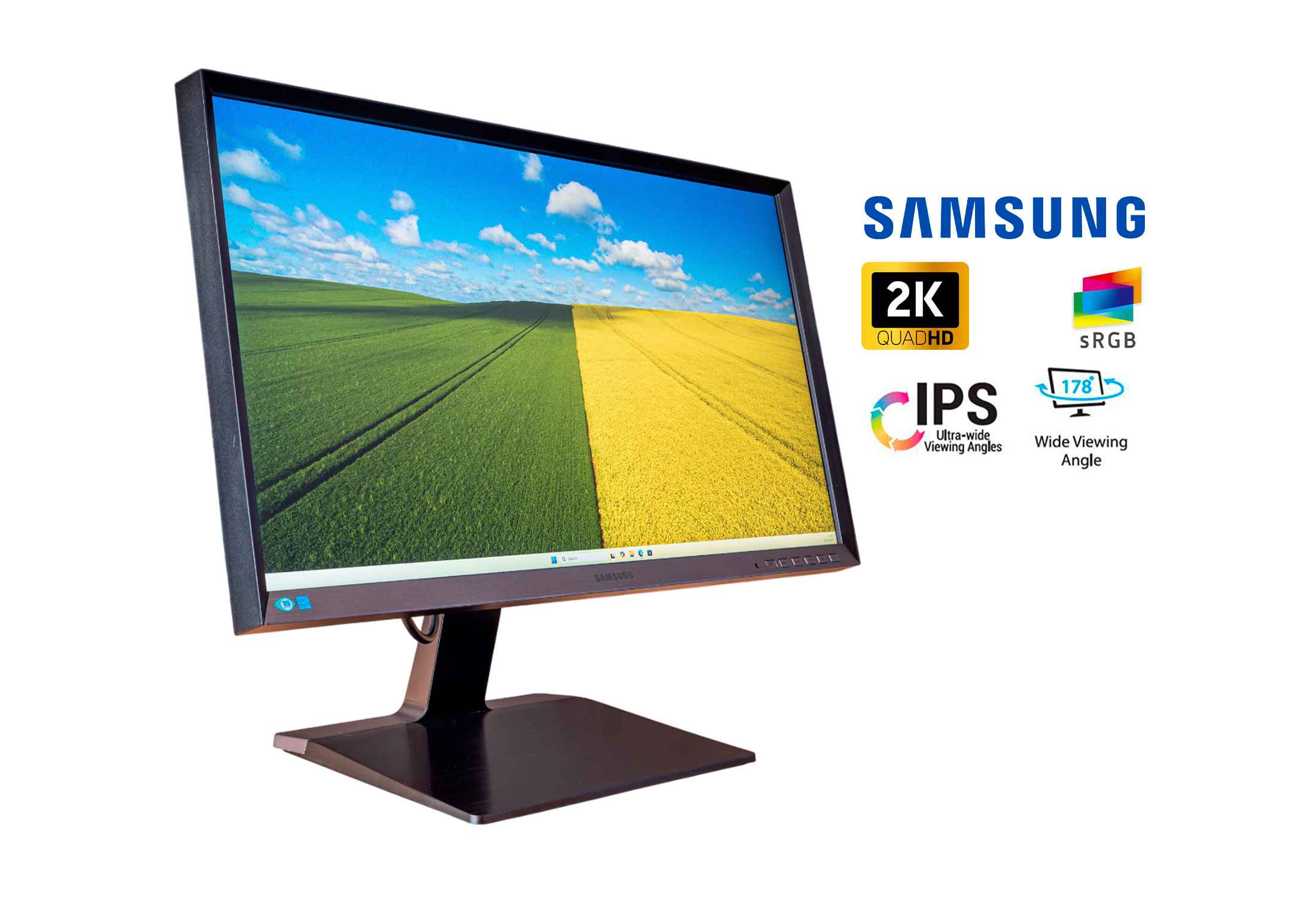 SAMSUNG S27D850T 27-ich 8-bit PLS 2560x1440 HDMI